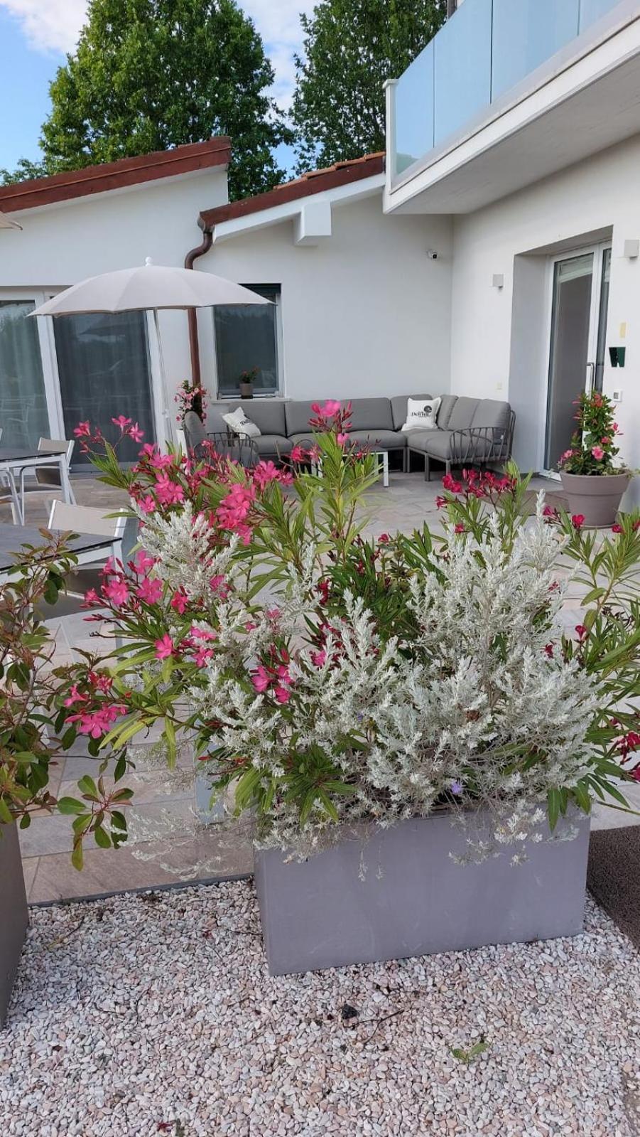 I Delfini - Natural B&B Cesenatico Exterior foto